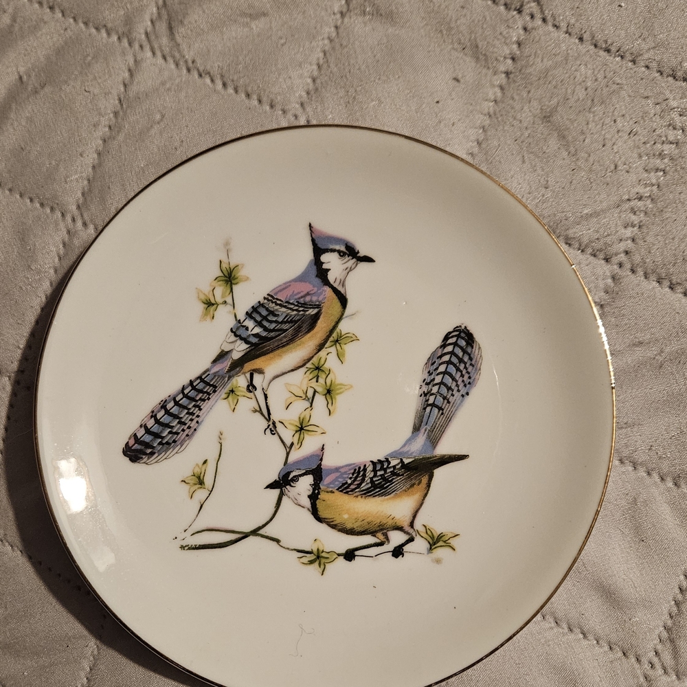 Chadwick-Miller INC Decorative Plate with Blue Jays and Gold Trim
